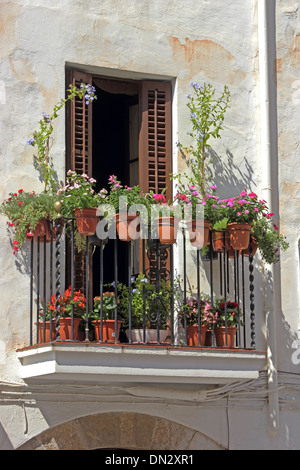 Plants growing in pots on balcony of apartment, Sitges, Spain Stock Photo