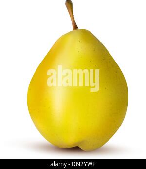 Rpe pear isolated on white. Vector illustration Stock Vector Image ...