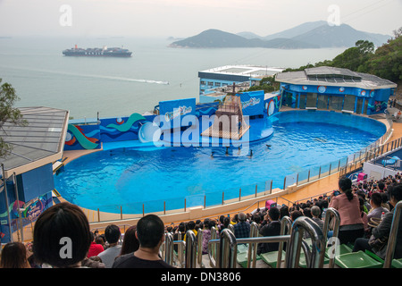 Ocean Park Marine Theatre dolphin performance, Hong Kong Stock Photo