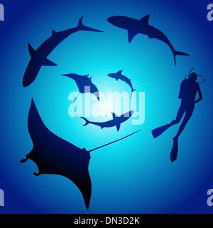 Shark and diver, swimming with sharks Stock Vector