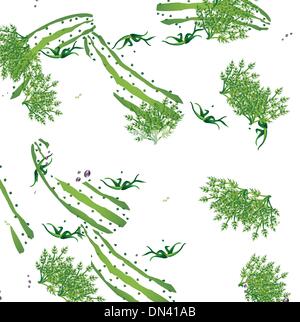 Group of vegetables with text Vector Stock Vector Image & Art - Alamy
