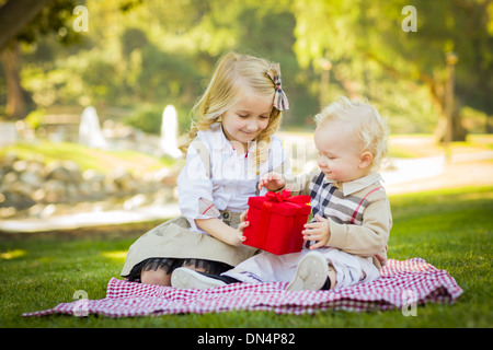 Sweet Little Girl Gives Her Baby Brother A Wrapped Gift on a Picnic Blanket Outdoors at the Park. Stock Photo
