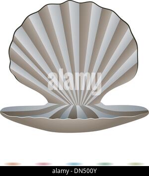 vector  pearls and a shell Stock Vector