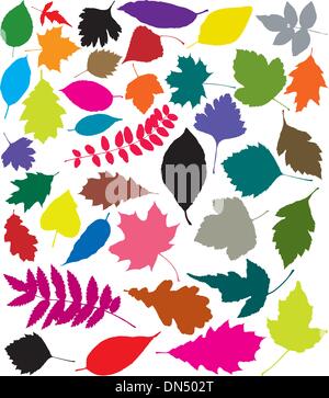 Green leaves silhouettes set isolated on white background. Vector ...