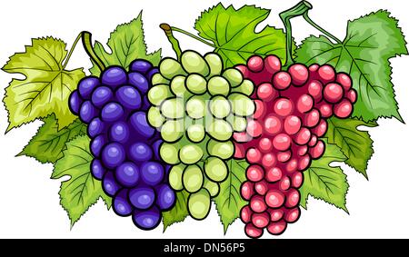 509 Grapes Cartoon High Res Illustrations - Getty Images