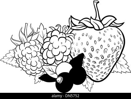 berry fruits illustration for coloring book Stock Photo: 103011377 - Alamy