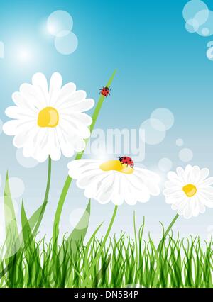 beautiful flower daisy on background Stock Vector