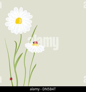 beautiful flower daisy on background Stock Vector