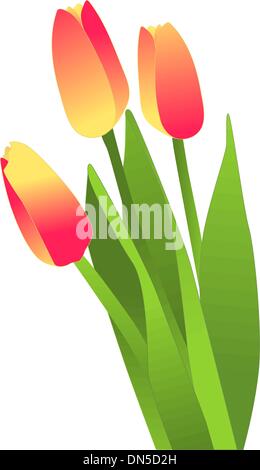 Blooming flowers, tulips Stock Vector