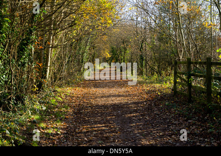 Sustrans Route 47 cycle path near Hengoed Viaduct, Rhymney valley South Wales. Stock Photo
