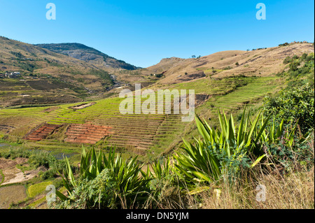 Landscape, steep terraced rice fields paddies of the Betsileo people, rocky mountains, Anja-Park near Ambalavao, Madagascar Stock Photo