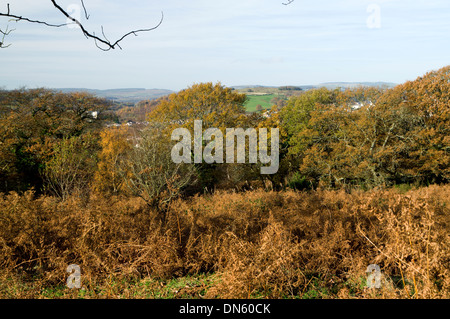 Rhymney Valley Ridgway Footpath, above Ystrad Mynach, Gwent, South Wales Valleys. Stock Photo