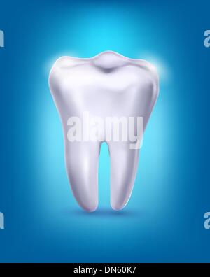 illustration of a tooth on a white background Stock Vector Image & Art ...