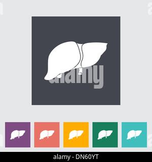 Human liver icon. Flat illustration of human liver icon for web design ...