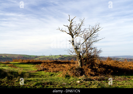 Rhymney Valley Ridgway Footpath, above Ystrad Mynach, Gwent, South Wales Valleys. Stock Photo