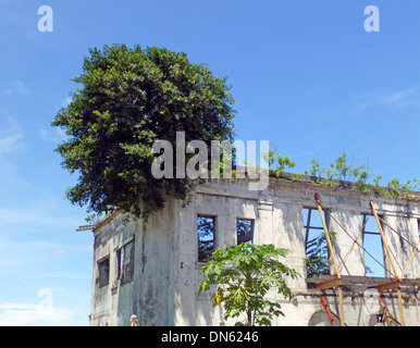 Dilapidated house in the historic centre Casco Viejo, also Casco Antiguo or San Felipe, Panama City, Panama Stock Photo