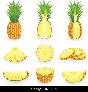 Pineapple Stock Vector