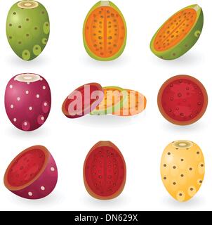 Prickly pear Stock Vector