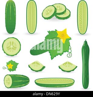 Cucumber Stock Vector