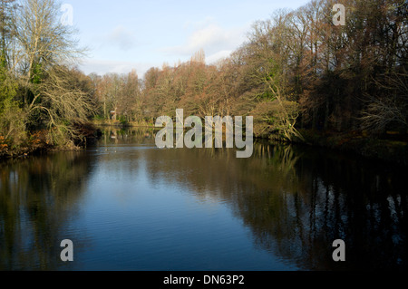 River Taff and Autumn colours, Blackweir, Pontcanna, Cardiff, Wales. Stock Photo