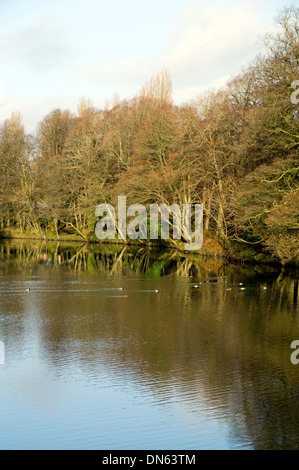 River Taff and Autumn colours, Blackweir, Pontcanna, Cardiff, Wales. Stock Photo