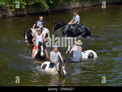 Gypsy travellers riding horses in River Eden. Appleby Horse Fair, Appleby-in-Westmorland, Cumbria, England, United Kingdom. Stock Photo