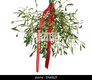 mistletoe's bunch with red ribbon on white background Stock Photo - Alamy