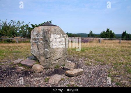 Stone on the summit of Mount Wilseder / Wilseder Berg near Wilsede, Lüneburg Heath / Lunenburg Heathland, Lower Saxony, Germany Stock Photo