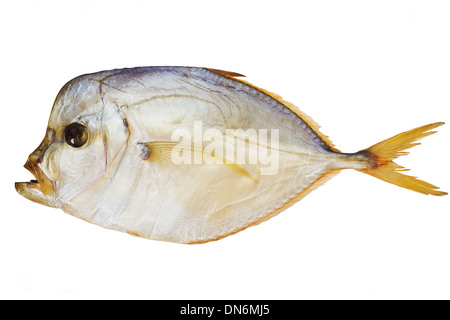 smoked fish piranha isolated on a white with clipping path Stock Photo