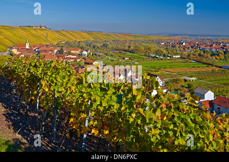 Escherndorf and Nordheim with vineyards at river Main with Vogelsburg monastery, Lower Franconia, Bavaria, Germany Stock Photo