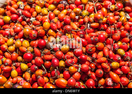 Rose hips for sale in an outdoor market, near Samarkand, Uzbekistan Stock Photo