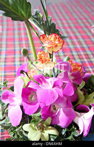 Purple orchid in vase on table. Stock Photo