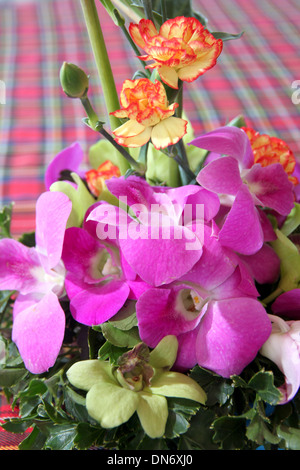 Purple orchid in vase on table. Stock Photo