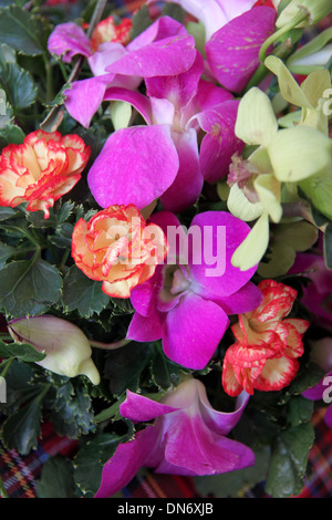 Purple orchid in vase on table. Stock Photo