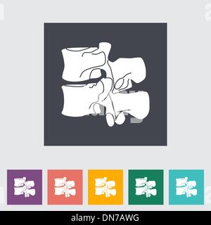 vector illustration of lumbar sacral spine and the stages of ...