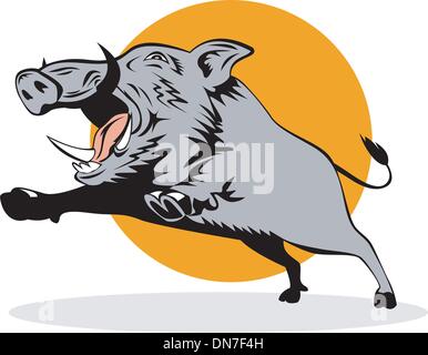 Wild Pig Boar Jumping Isolated Stock Vector Image & Art - Alamy