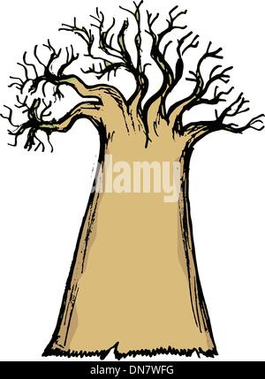 baobab Stock Vector
