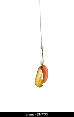 worms on hook on a white background Stock Photo