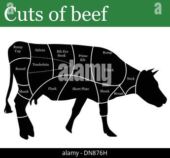 Cuts of beef Stock Vector