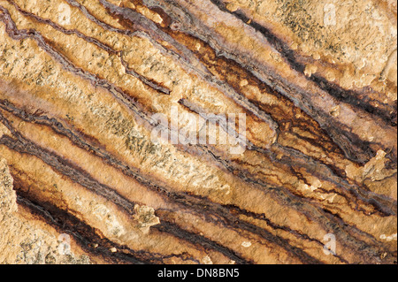 Abstract image of veins in rocks. Stock Photo