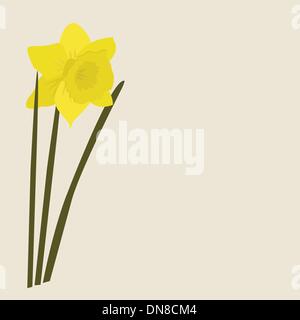 Dafodills on grunge background. Vector illustration Stock Vector