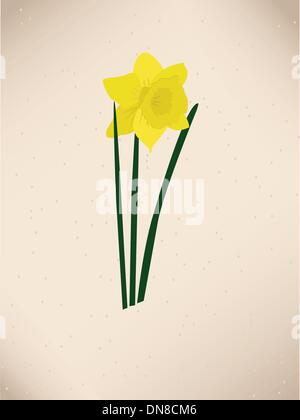 Dafodills on grunge background. Vector illustration Stock Vector