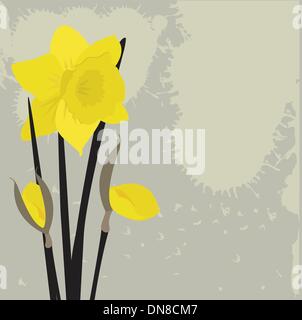 Dafodills on grunge background. Vector illustration Stock Vector