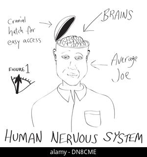 Funny Human Brain Cartoon Stock Vector