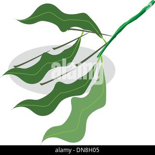 Three Mango Fruits on A White Plate Stock Vector