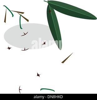 Red Water Apple on A White Plate Stock Vector