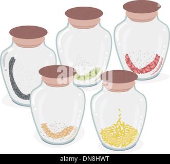 Five Bottles of Different Beans Isolated on White Background Stock Vector