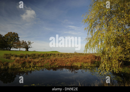 Knole Park Golf Club - View over small pond to 13th Green with Autumn Colours and Trees Sevenoaks Kent England Stock Photo