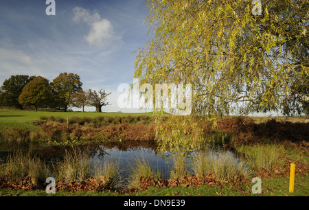 Knole Park Golf Club - View over small pond to 13th Green with Autumn Colours and Trees Sevenoaks Kent England Stock Photo