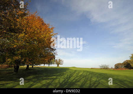 Knole Park Golf Club - View up hill with Autumn Trees to 13th Green Stock Photo